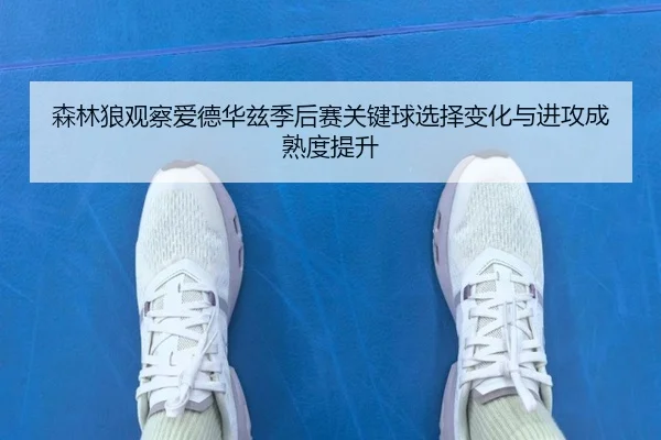 森林狼观察爱德华兹季后赛关键球选择变化与进攻成熟度提升 | kaiyun